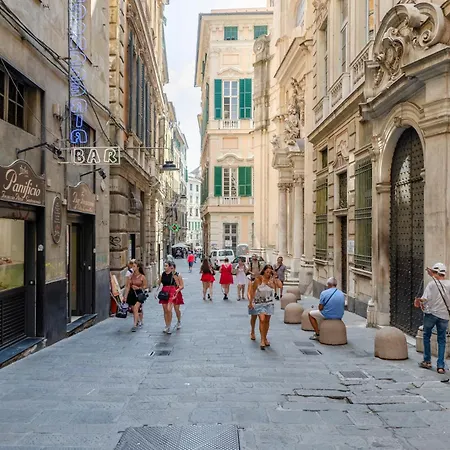 Castelli's Campo 10 *