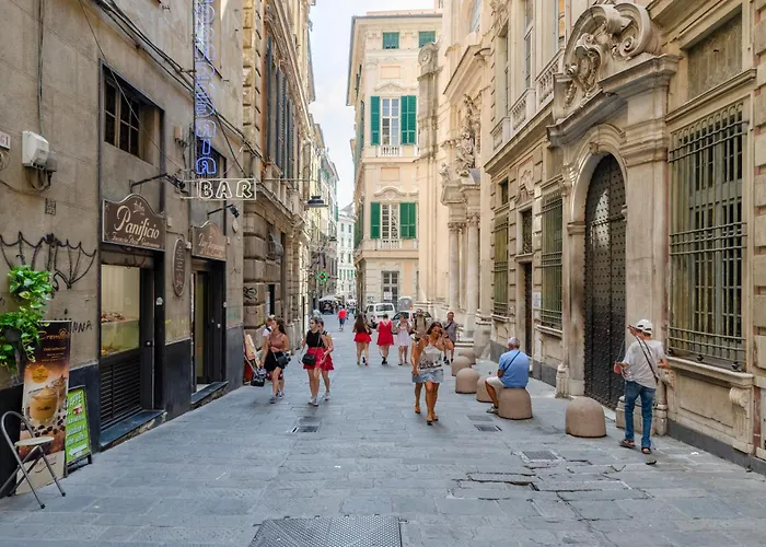 Castelli's Campo 10 *